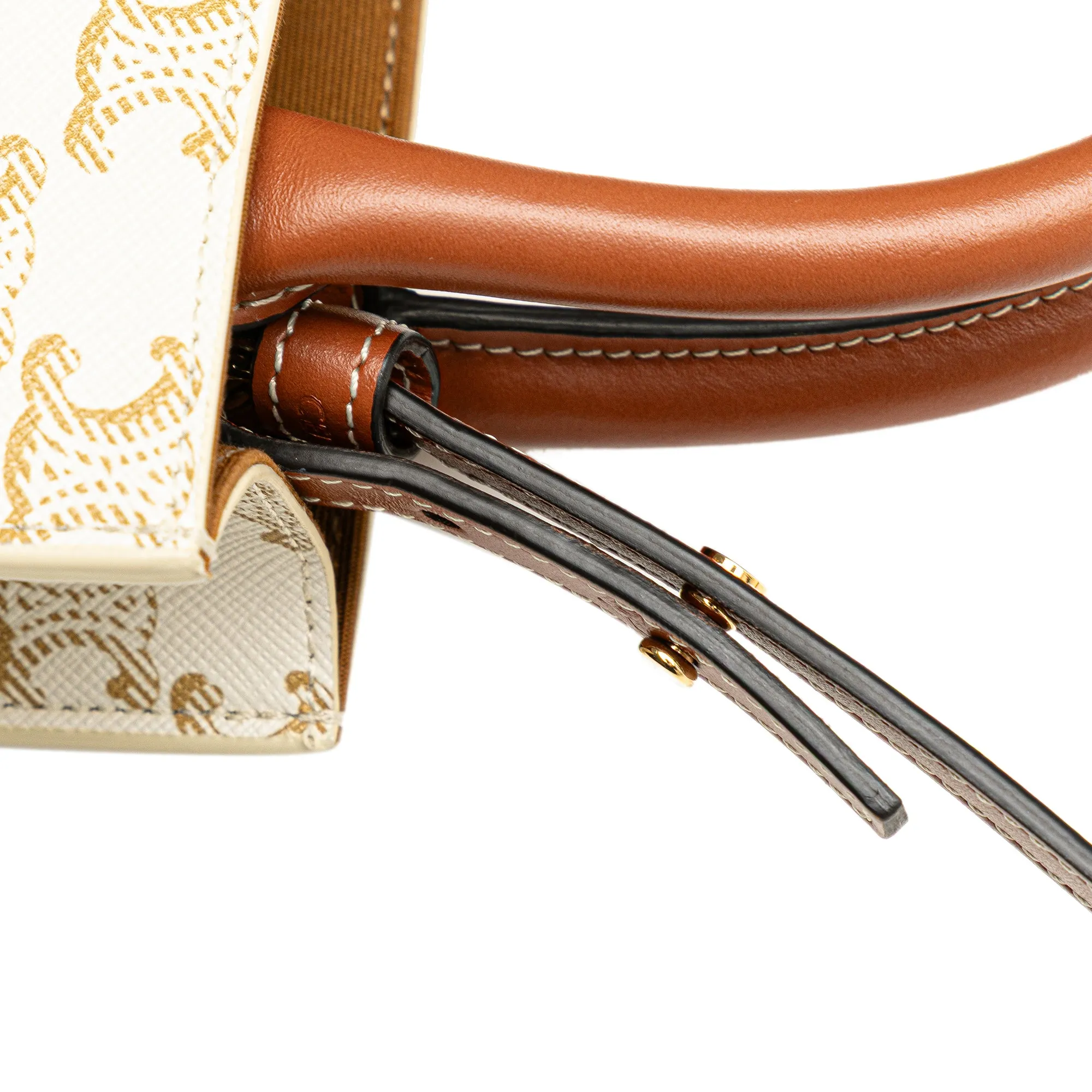 Celine Mini Triomphe Coated Canvas Vertical Cabas Satchel