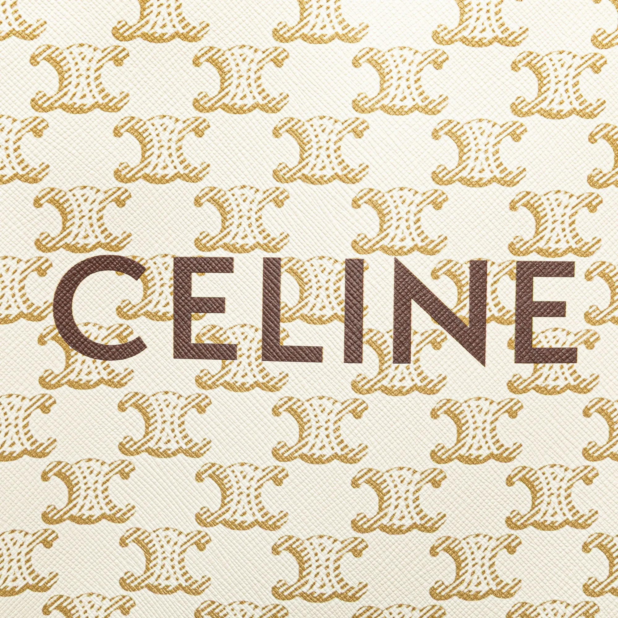 Celine Mini Triomphe Coated Canvas Vertical Cabas Satchel