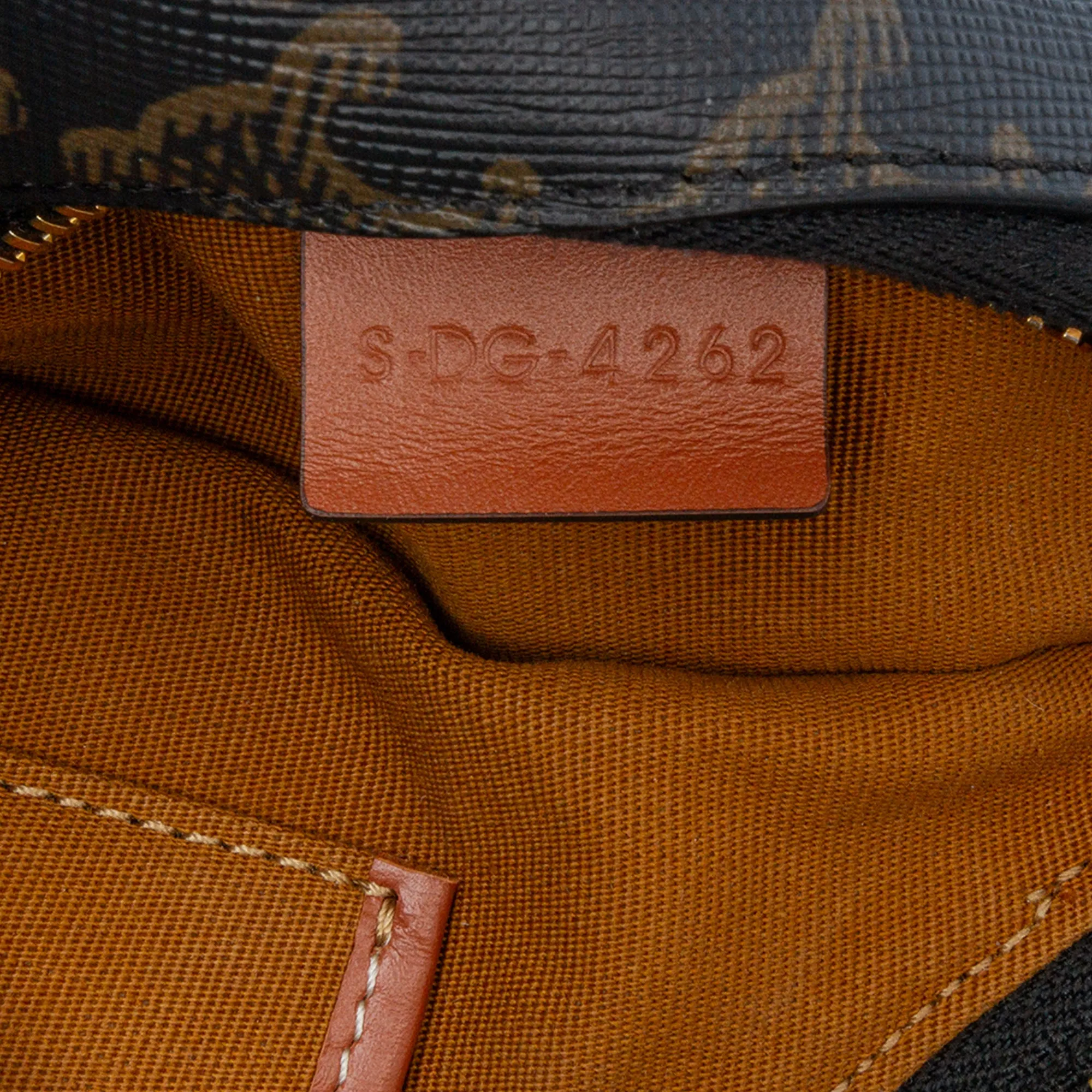 Coated Canvas Triomphe Ava Shoulder Bag
