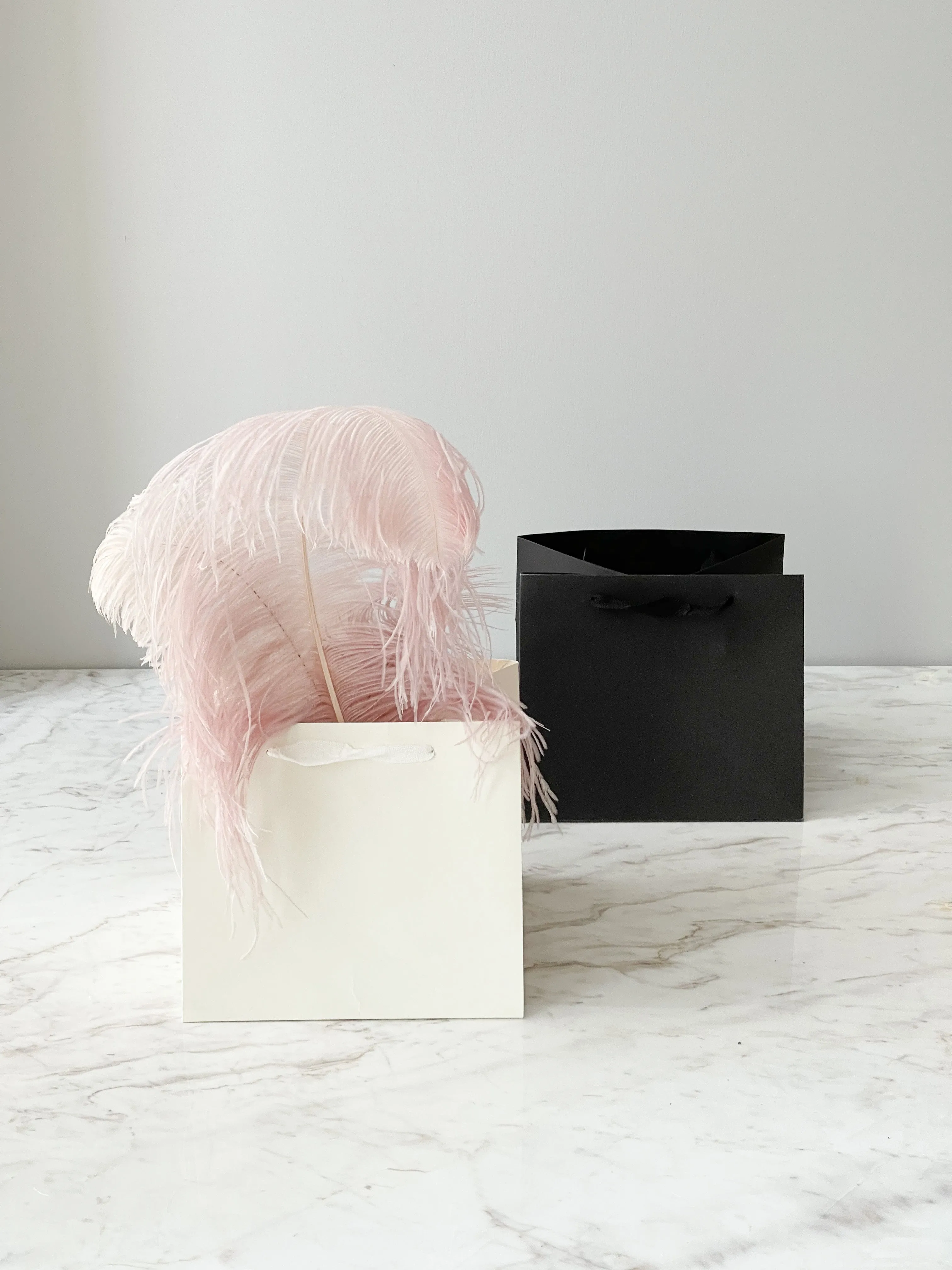 Craft Paper flower/gift Bag with Strip Available in White & Black