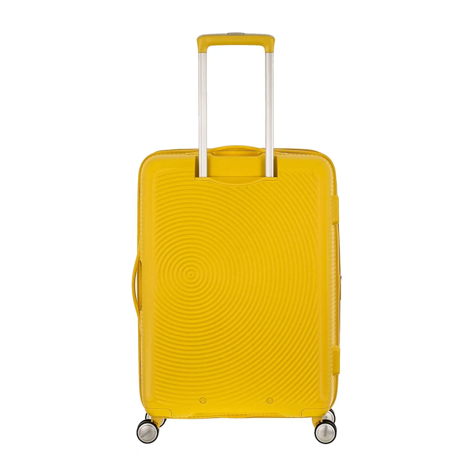 Curio Spinner Medium Expandable