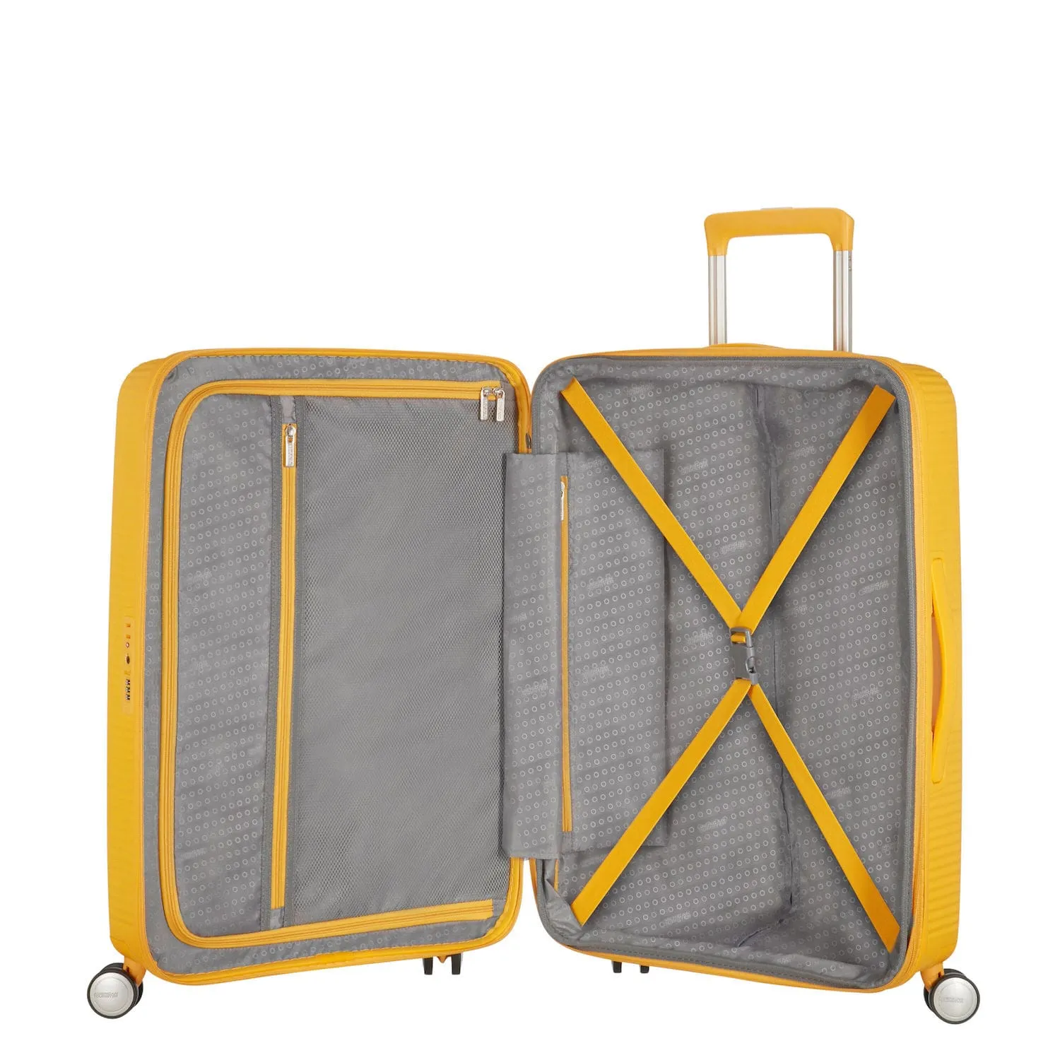 Curio Spinner Medium Expandable