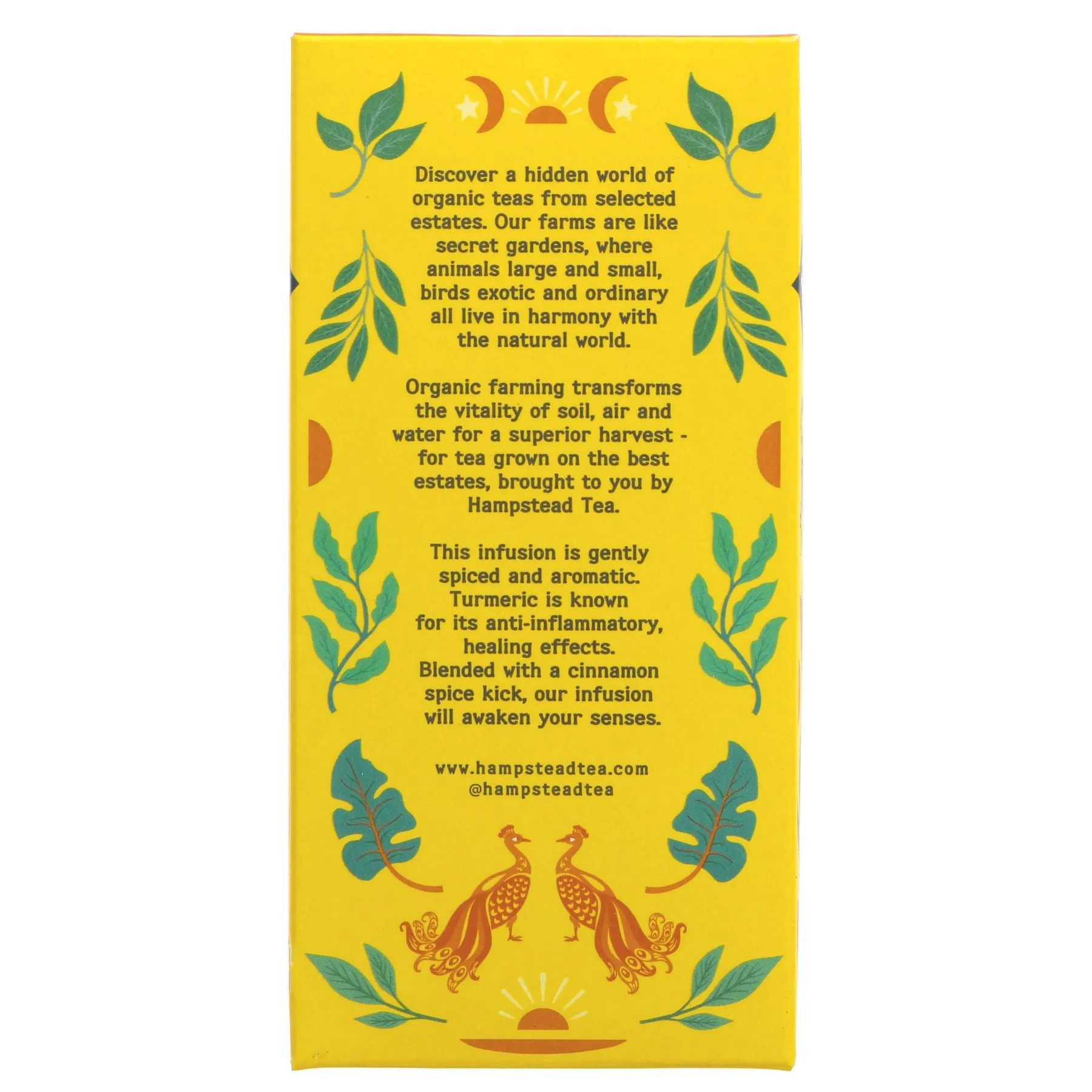 Hampstead Tea | Turmeric with Cinnamon - Turmeric, Ginger, Cinnamon | 20 bags