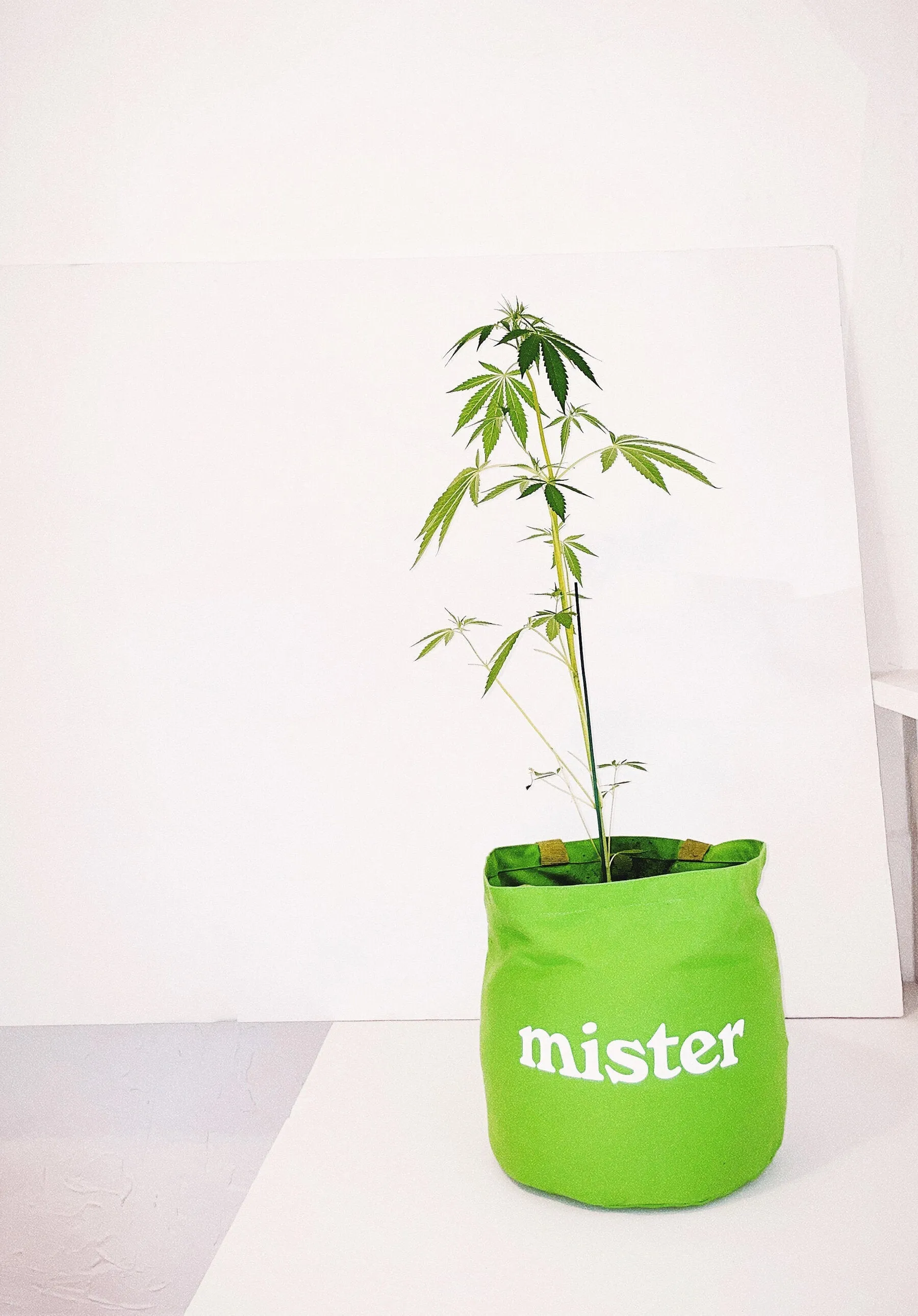 Large Round Tote / Grow Bag - Green