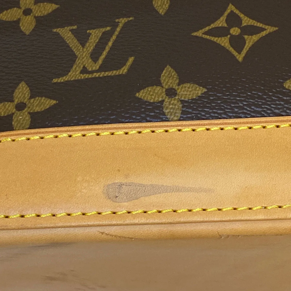 Louis Vuitton Alma MM Monogram