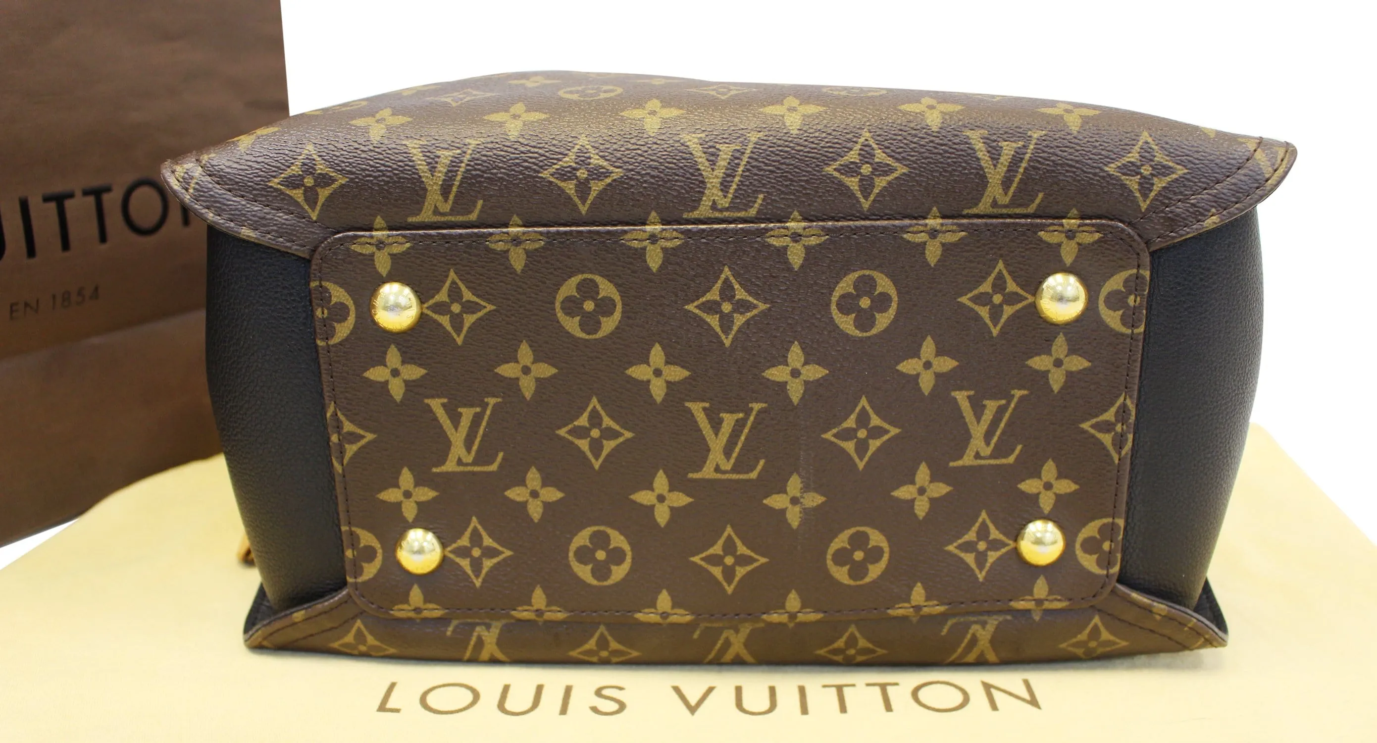 LOUIS VUITTON Monogram Canvas Gaïa Brown Satchel Bag