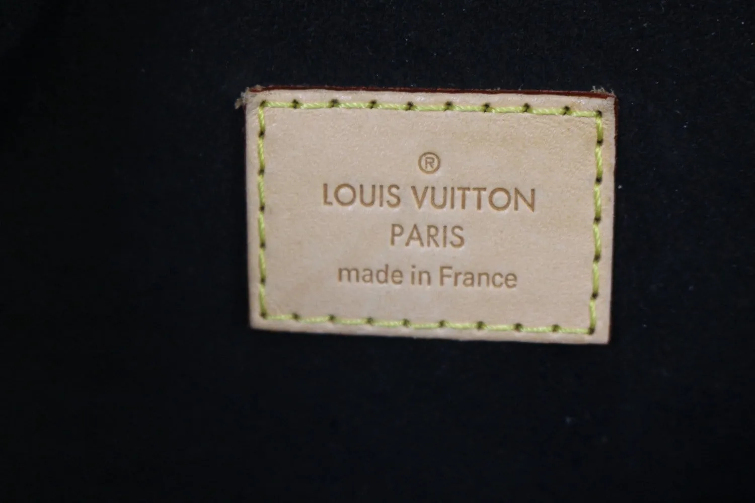 LOUIS VUITTON Monogram Canvas Gaïa Brown Satchel Bag