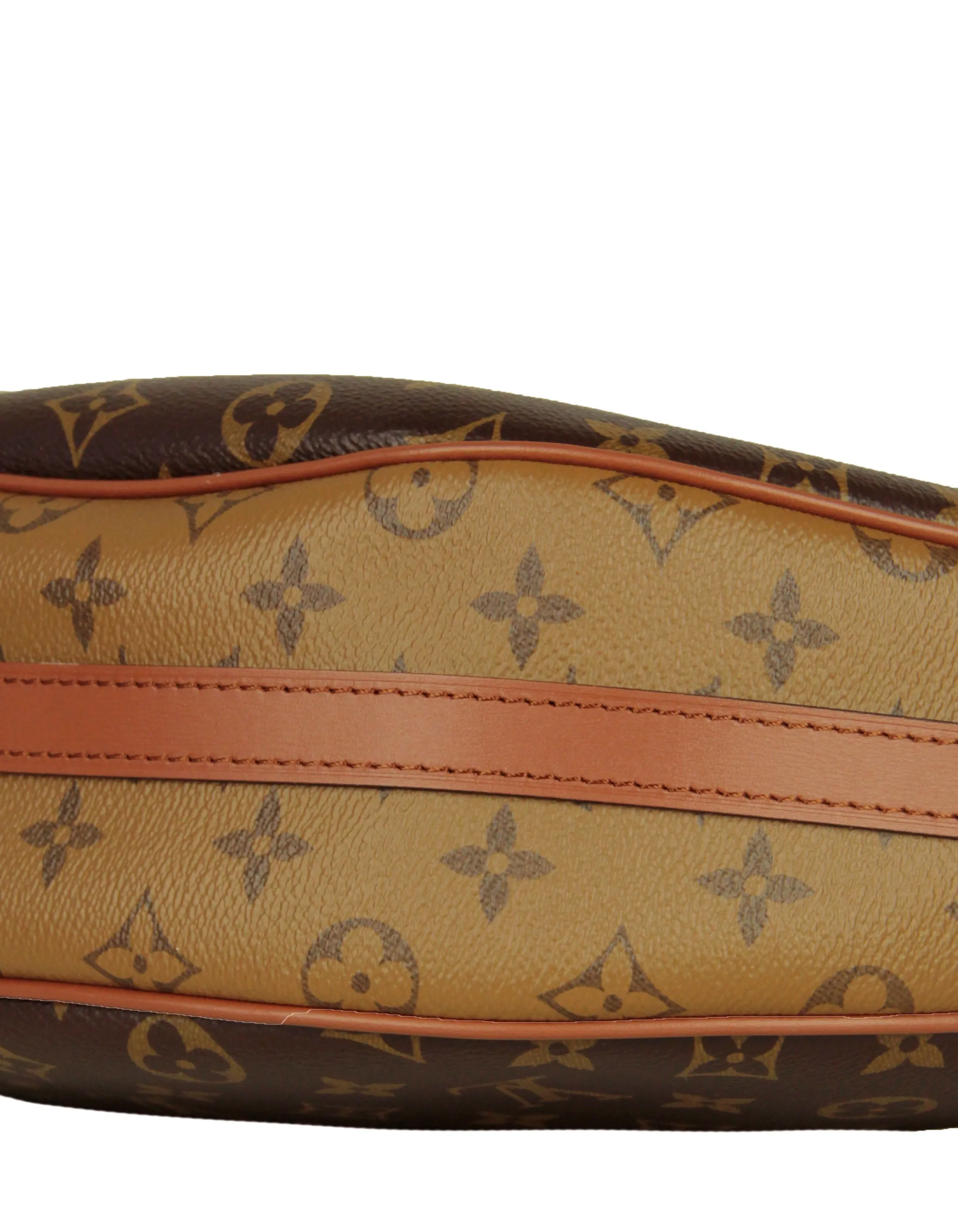 Louis Vuitton Reverse Monogram Loop Hobo