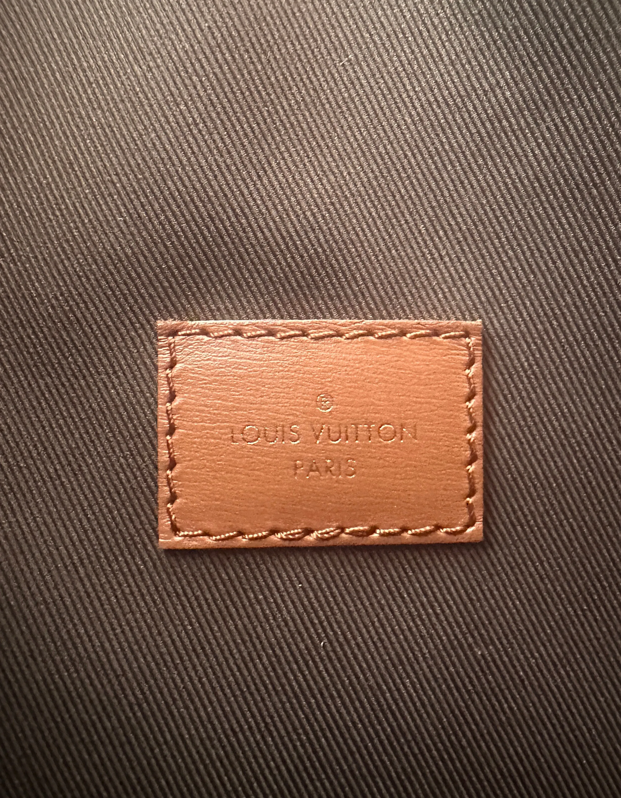 Louis Vuitton Reverse Monogram Loop Hobo