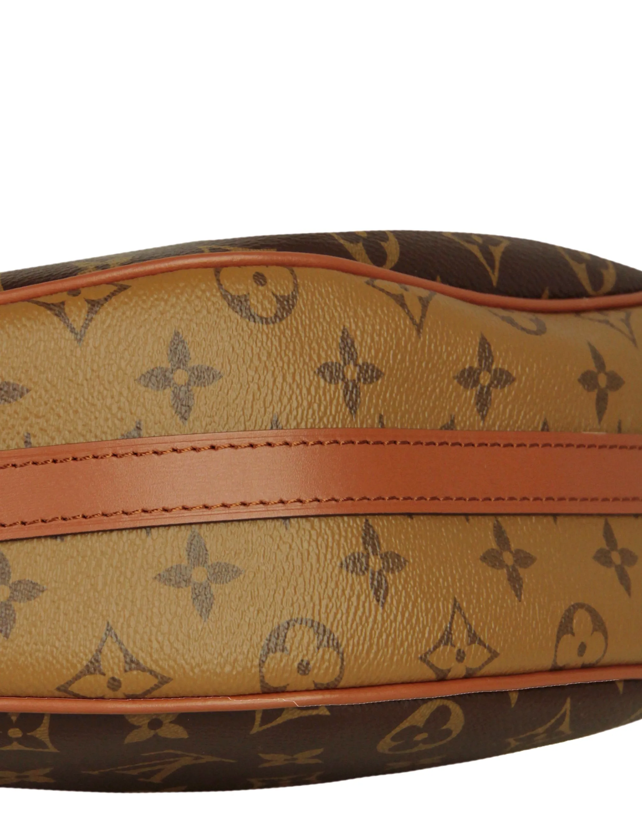 Louis Vuitton Reverse Monogram Loop Hobo