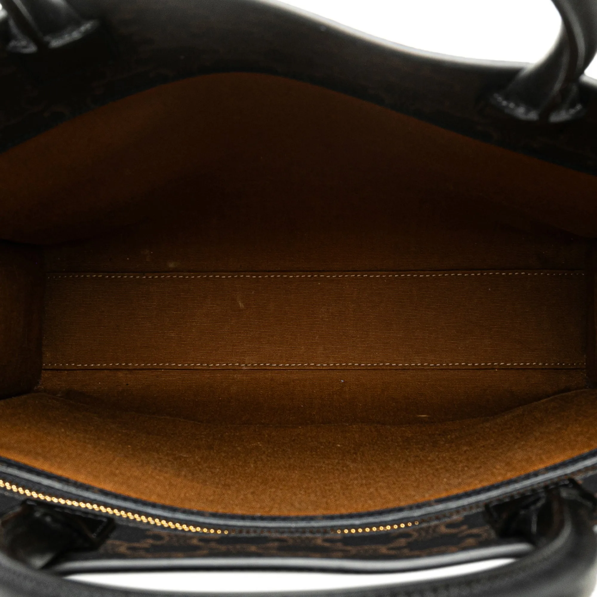 Medium Triomphe Coated Canvas Vertical Cabas Satchel