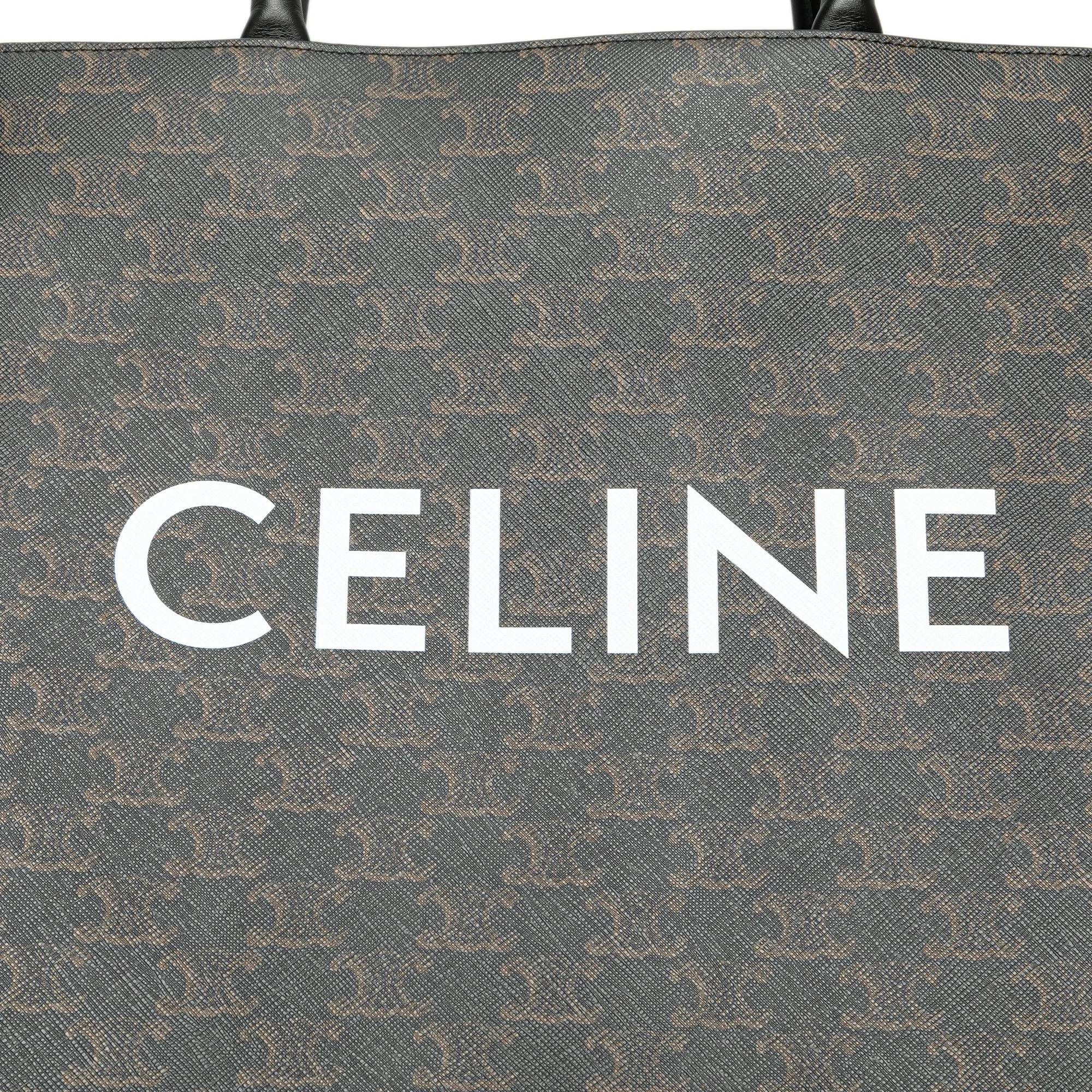 Medium Triomphe Coated Canvas Vertical Cabas Satchel