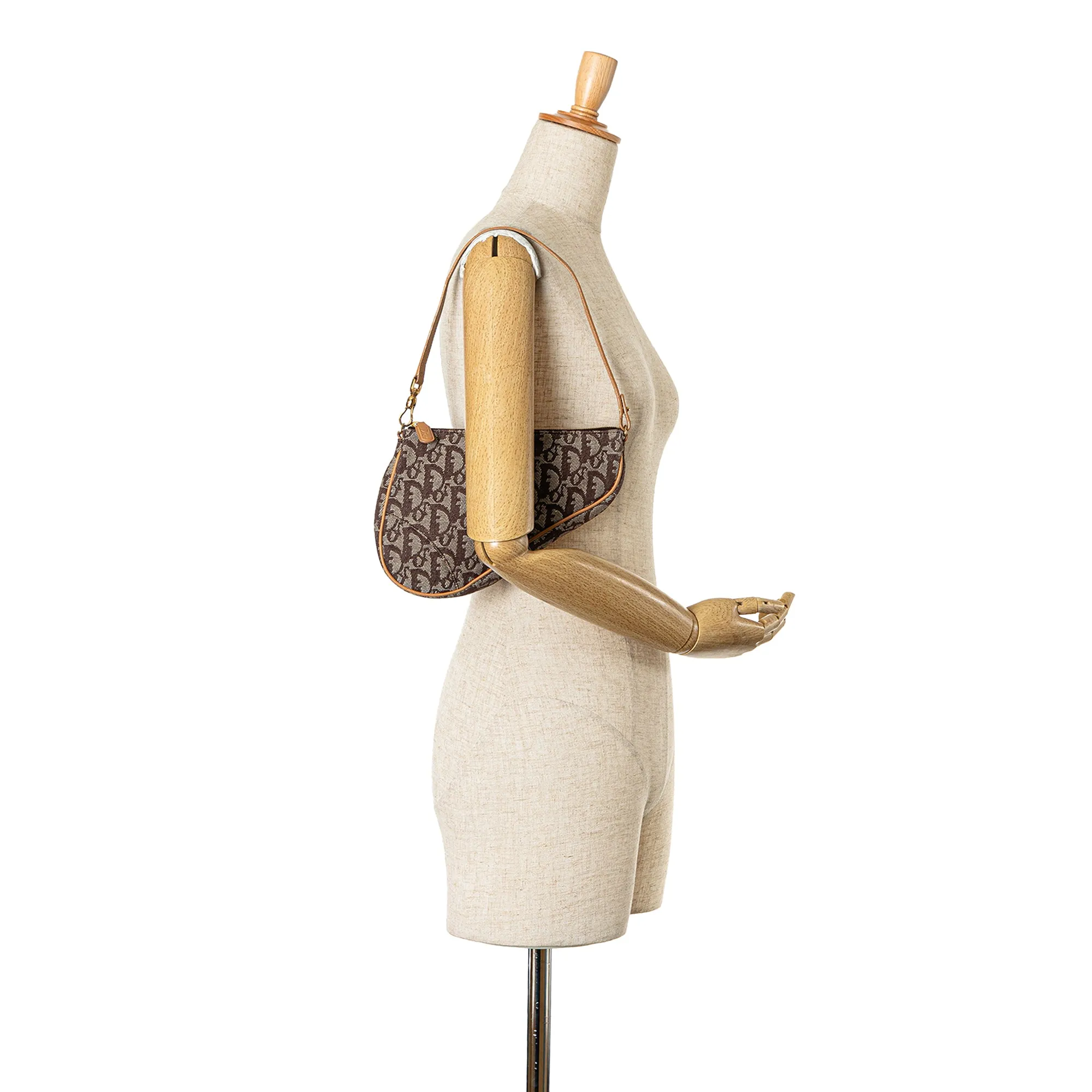 Mini Diorissimo Canvas Saddle Pochette