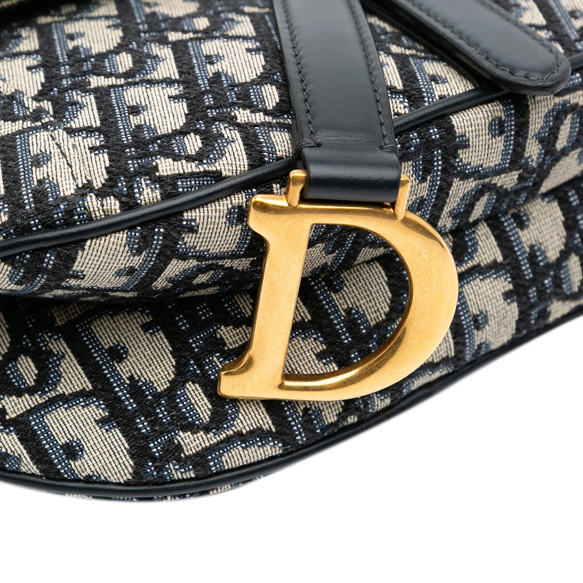 Mini Oblique Canvas Saddle Bag