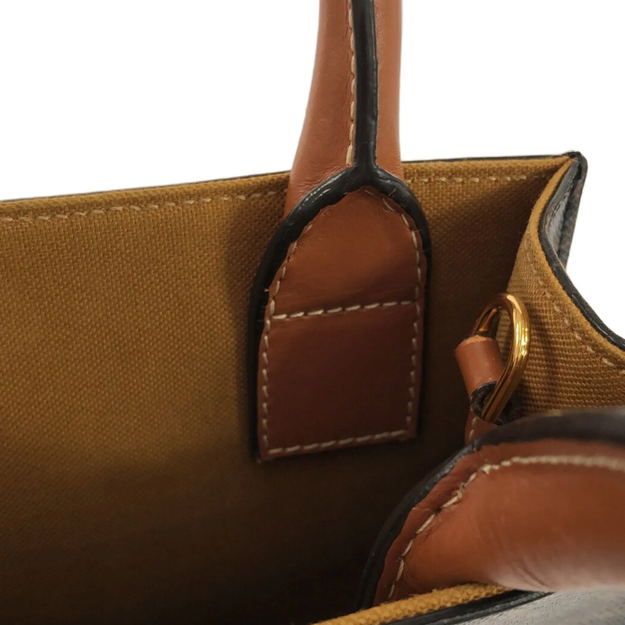 Mini Triomphe Coated Canvas Vertical Cabas Satchel