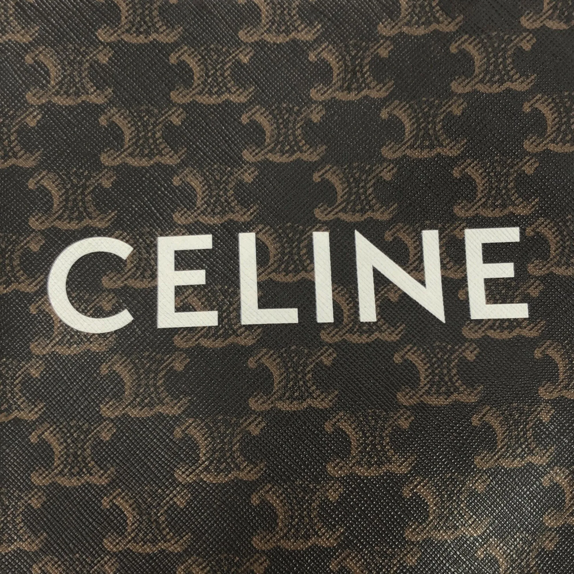 Mini Triomphe Coated Canvas Vertical Cabas Satchel