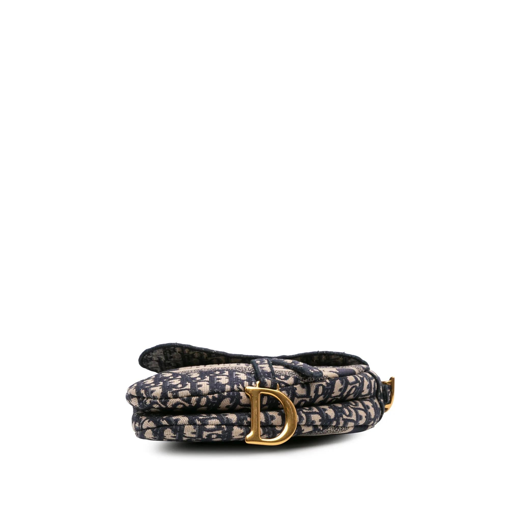 Oblique Embroidered Canvas Saddle Bag
