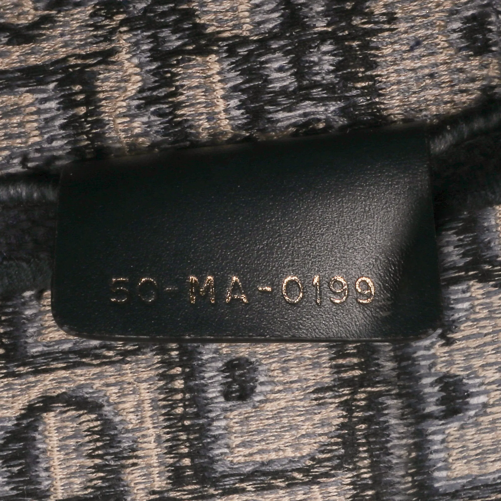 Oblique Embroidered Canvas Saddle Bag