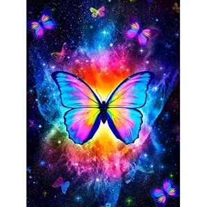 Rainbow Butterfly Starry Night Time Sky DIY 5D Diamond Painting  Cross Stitch Full Round Diamond Embroidery Kits Home Decor 12 x 16 Inch