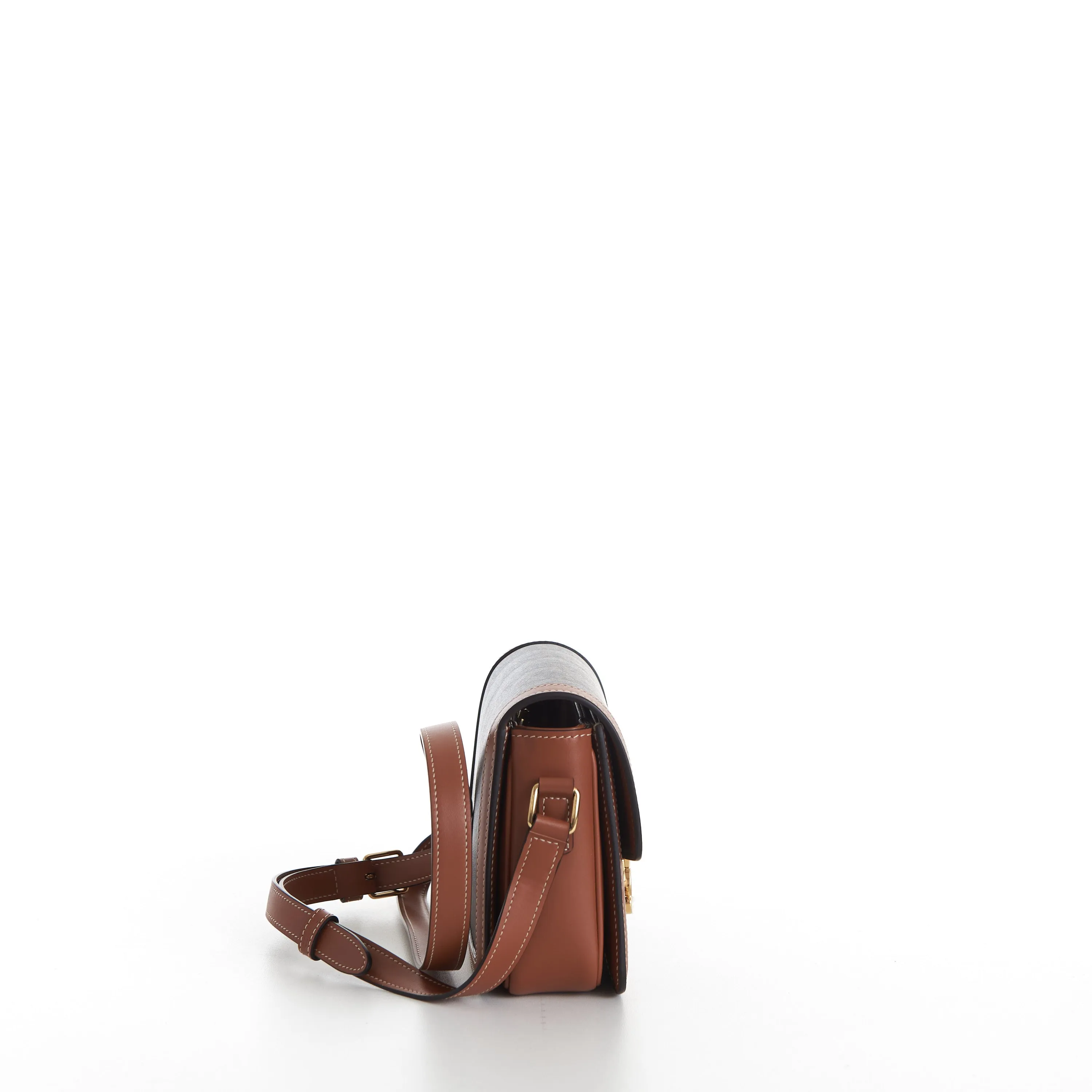 Teen Triomphe Bag In Brown Triomphe Canvas And Calfskin