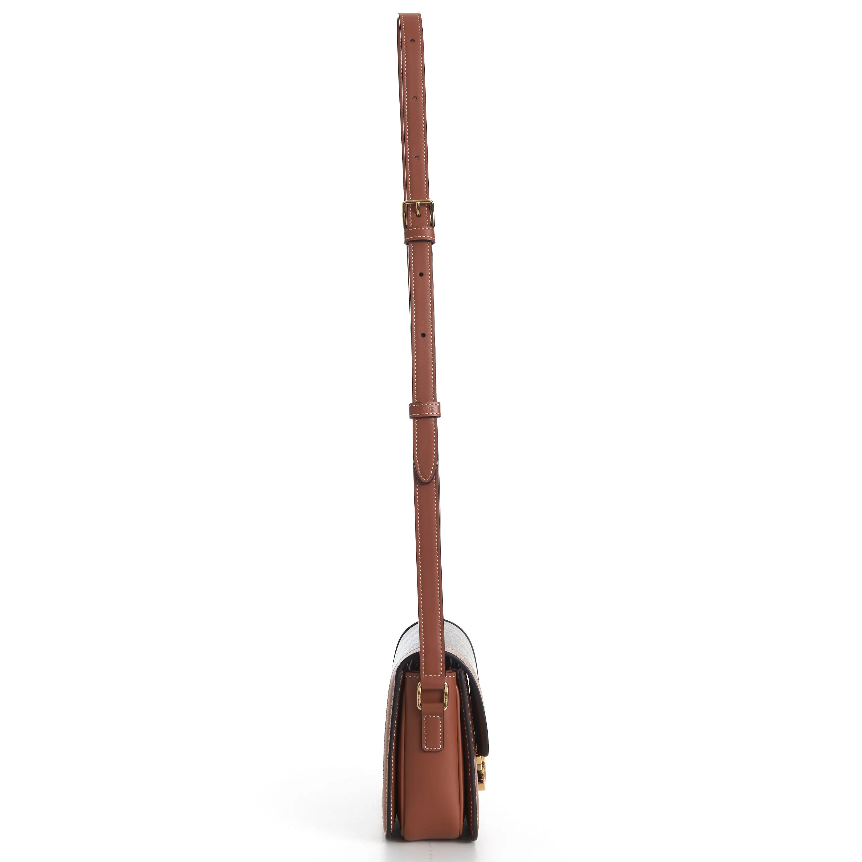 Teen Triomphe Bag In Brown Triomphe Canvas And Calfskin