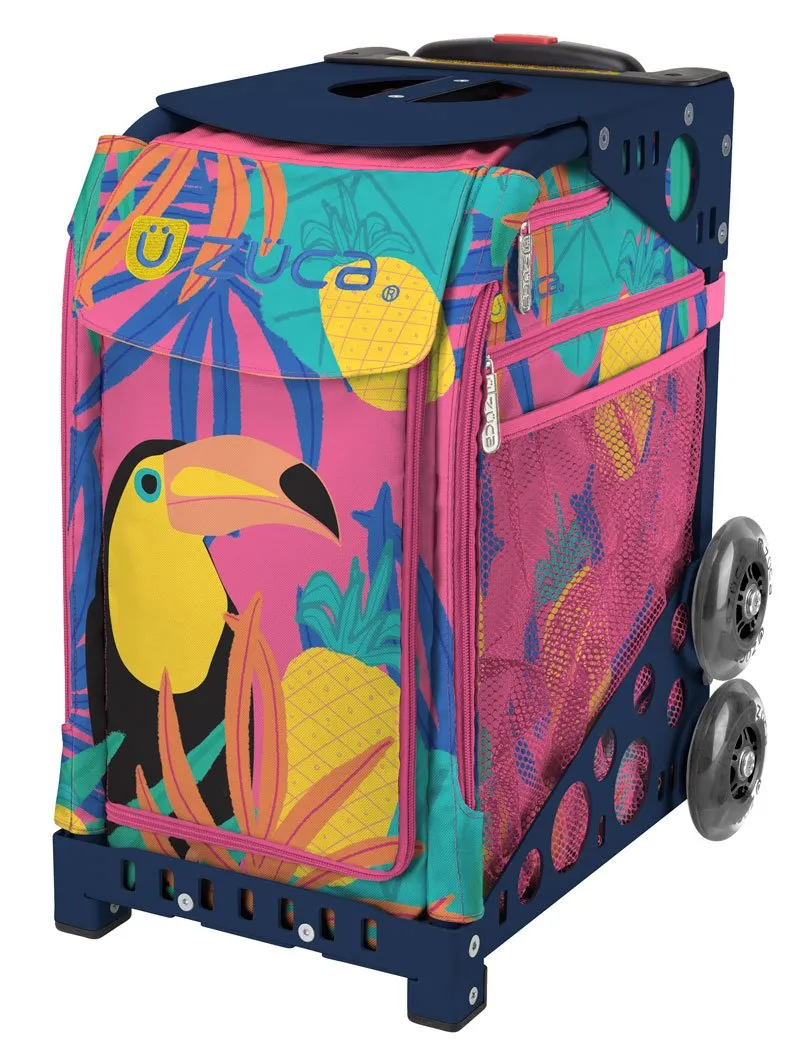 Toucan Dream